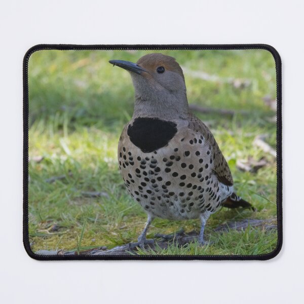 Item preview, Northern Flicker designed and sold by LaurenTucker.