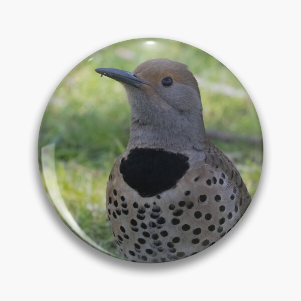 Item preview, Northern Flicker designed and sold by LaurenTucker.