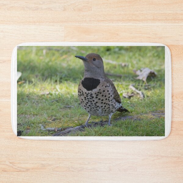 Item preview, Northern Flicker designed and sold by LaurenTucker.