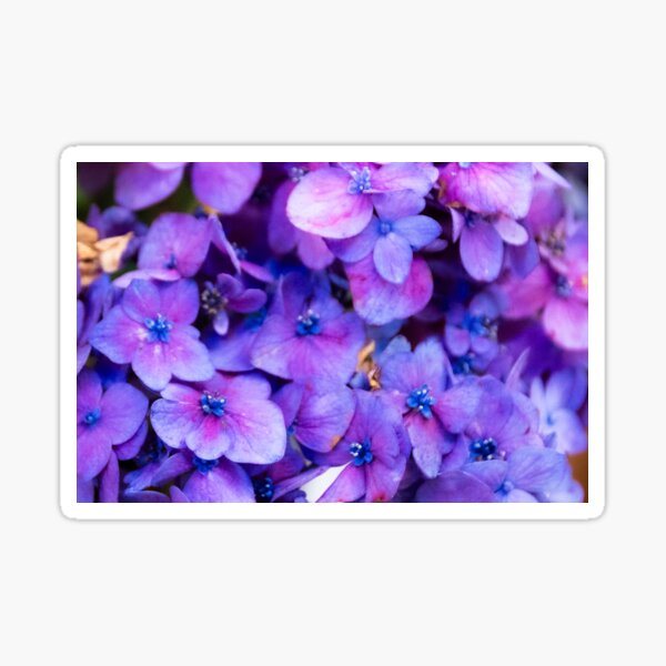 Item preview, Violet Reverie designed and sold by ArdethBey.