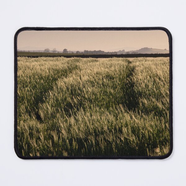 Item preview, Evening Light over the Cornfield designed and sold by RedGrouse.