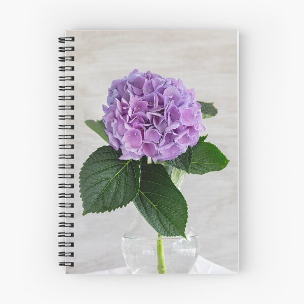 Item preview, Hortensia Macrophylla Hortensia Azul X135 designed and sold by RichFrancoCars.