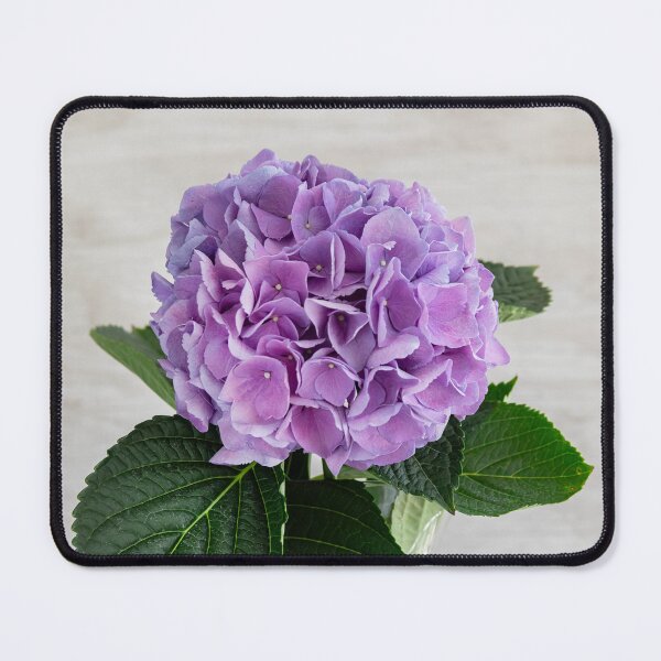 Item preview, Hydrangea Macrophylla Blue Hydrangea X135 designed and sold by RichFrancoCars.