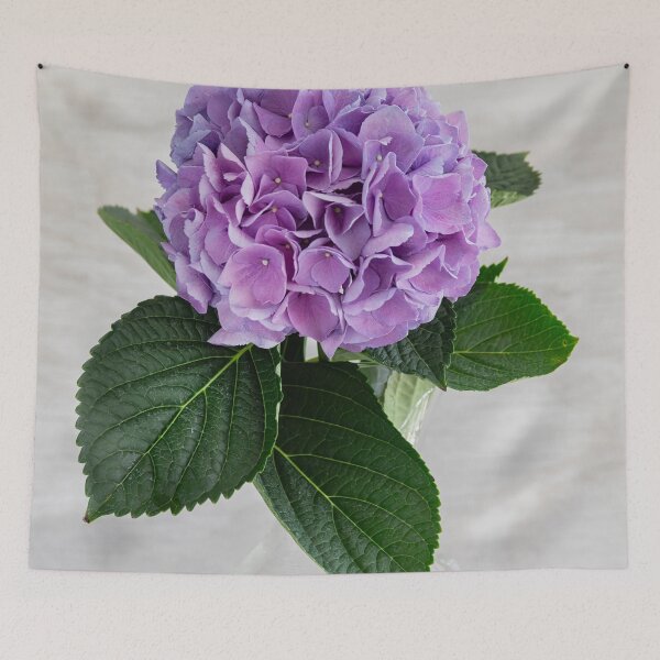 Item preview, Hydrangea Macrophylla Blue Hydrangea X135 designed and sold by RichFrancoCars.