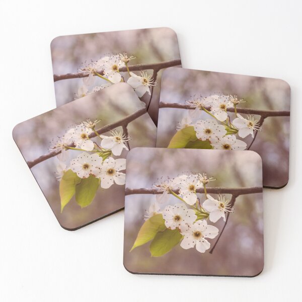 Item preview, White cherry blossoms on a branch designed and sold by KRFNatureGifts.