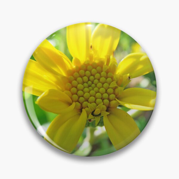 Item preview, Yellow Petals designed and sold by ShutterbugBttns.