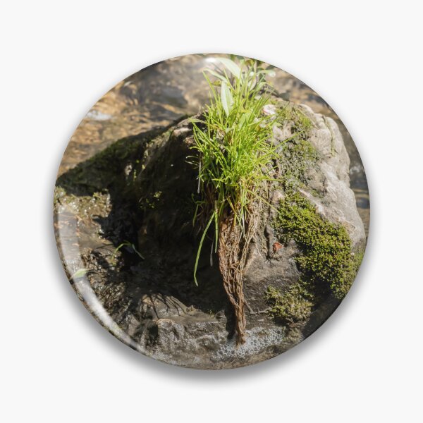 Item preview, A tuft of grass growing on a rock designed and sold by KRFNatureGifts.