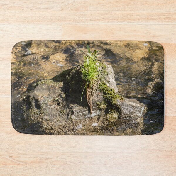Item preview, A tuft of grass growing on a rock designed and sold by KRFNatureGifts.