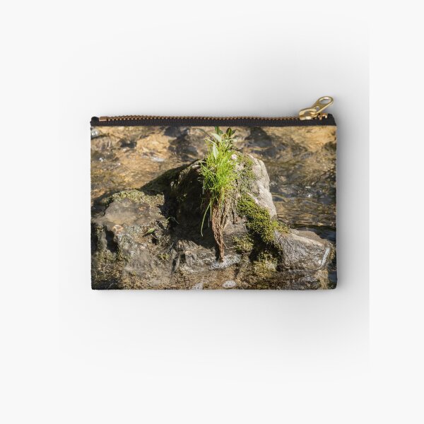 Item preview, A tuft of grass growing on a rock designed and sold by KRFNatureGifts.
