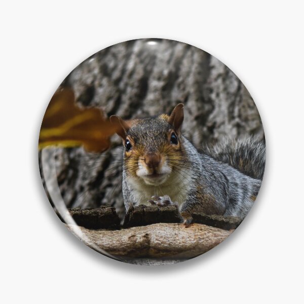 Item preview, Observant Squirrel  designed and sold by MeowsomeArt.