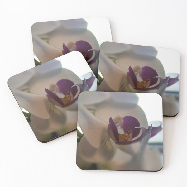 Item preview, office orchid designed and sold by xplor-r.