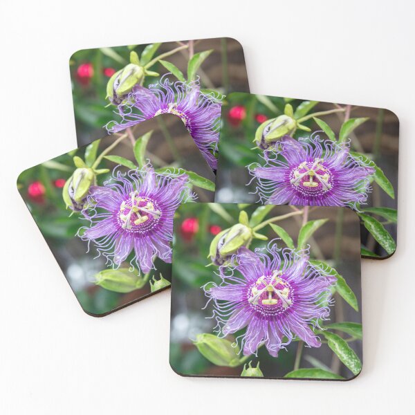 Item preview,  A Passion for Flowers Passion Flower X103 designed and sold by RichFrancoCars.