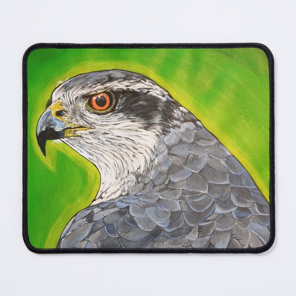Item preview, Hawk, acryllic on paper designed and sold by jolandanandi.