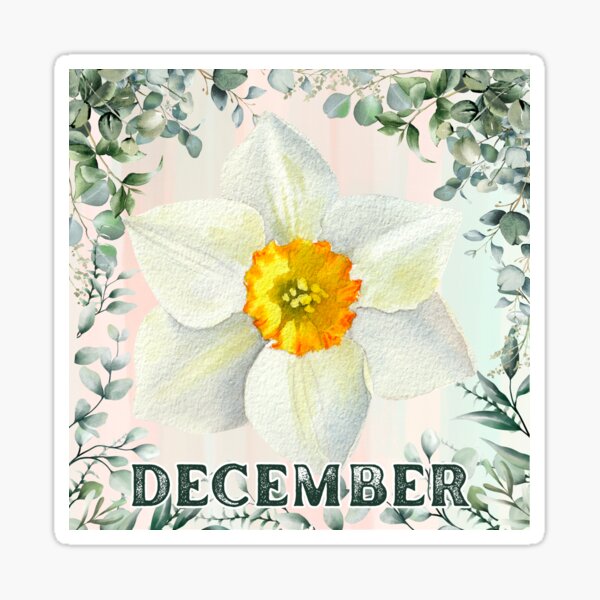 Item preview, December Narcissus Flower – Birth Flower of Hope & Renewal designed and sold by TheMysticNook.