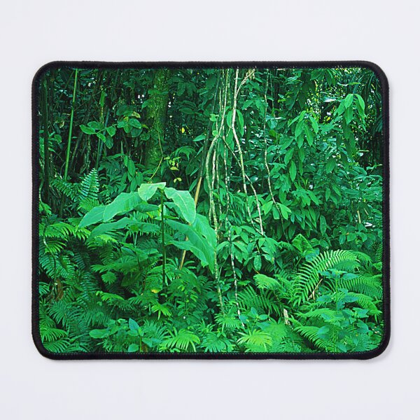 Item preview, Tropical South Pacific Rainforest Jungle Palau Islands Paradise designed and sold by DEC02.