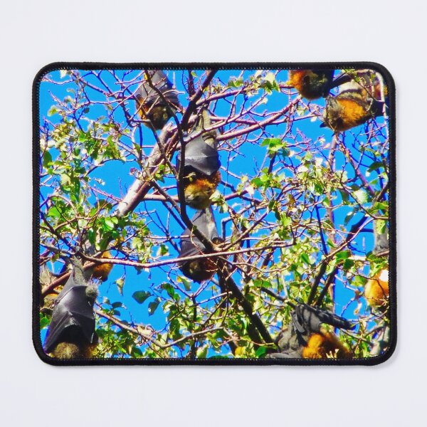 Item preview, Flying Foxes! designed and sold by Mickangelhere.
