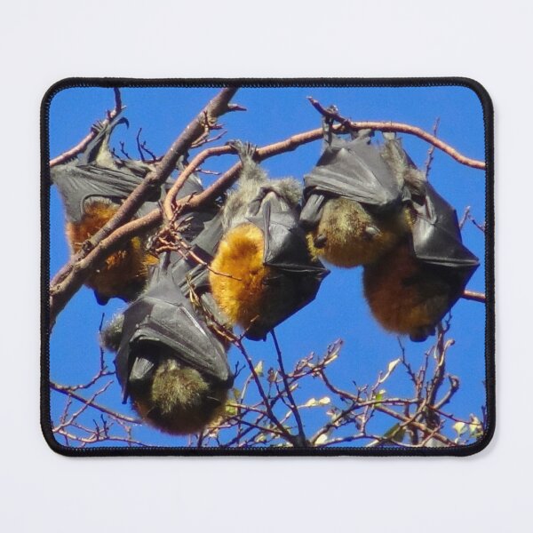 Item preview, The Bats! designed and sold by Mickangelhere.
