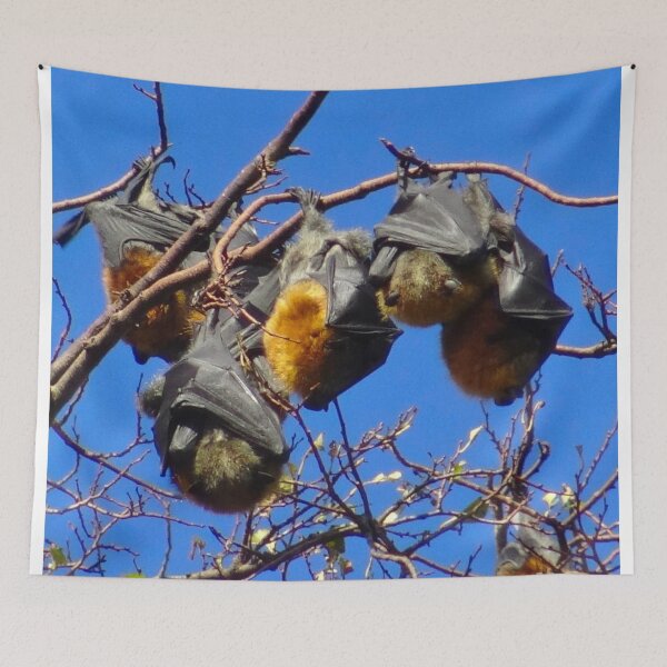 Item preview, The Bats! designed and sold by Mickangelhere.