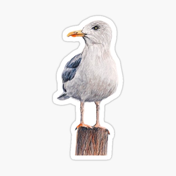 Aperçu de l'œuvre Mouette ciel nuageux créée et vendue par NathBros.