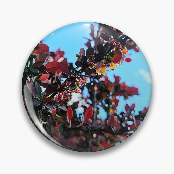 Item preview, Barberry designed and sold by Betsy Phillips.