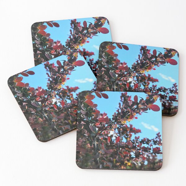 Item preview, Barberry designed and sold by Betsy Phillips.