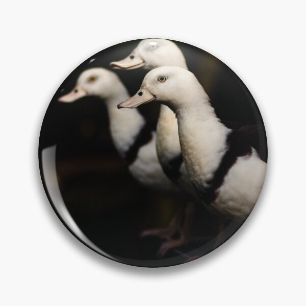 Item preview, Radjah Shelducks in a Line of Three  designed and sold by Geoff Treagus.