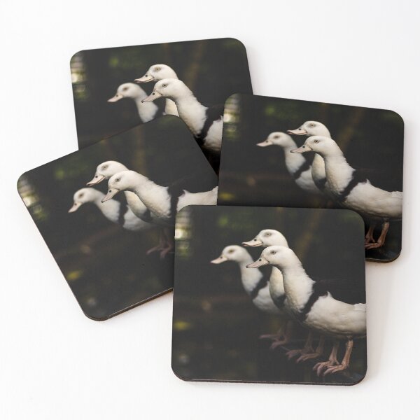 Item preview, Radjah Shelducks in a Line of Three  designed and sold by Geoff Treagus.