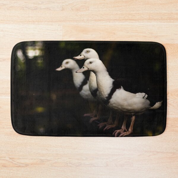 Item preview, Radjah Shelducks in a Line of Three  designed and sold by Geoff Treagus.