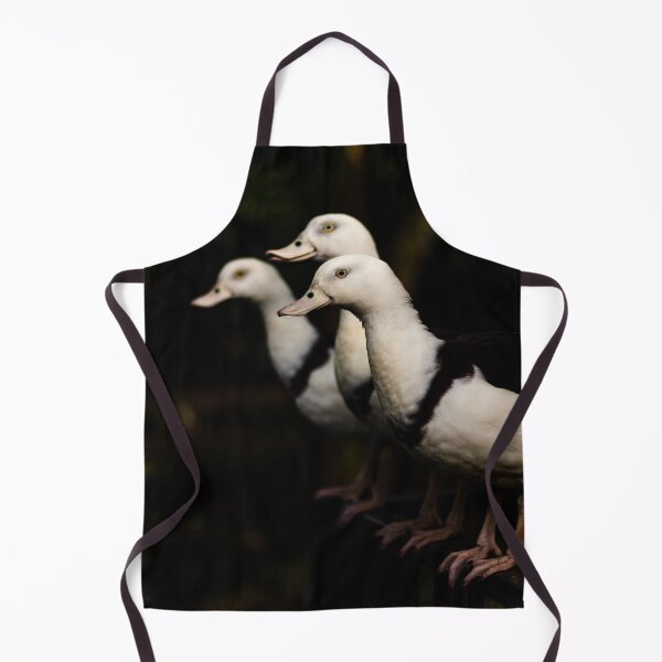 Item preview, Radjah Shelducks in a Line of Three designed and sold by Geoff Treagus.