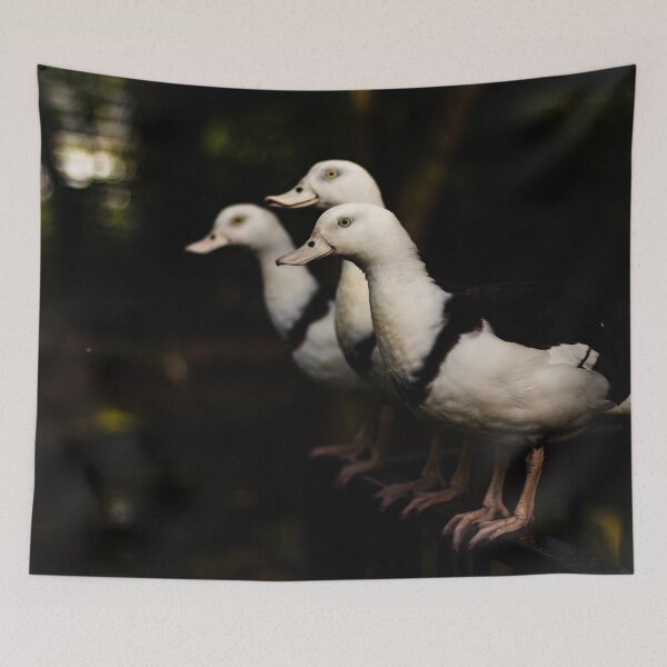 Item preview, Radjah Shelducks in a Line of Three  designed and sold by Geoff Treagus.