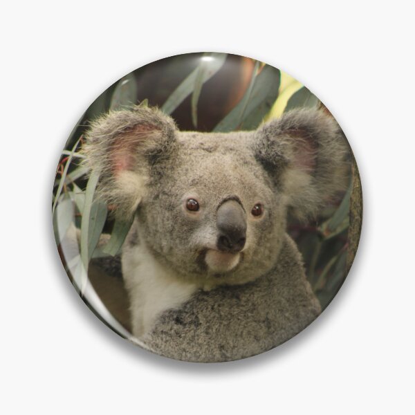 Item preview, Koala RP designed and sold by RREID84.