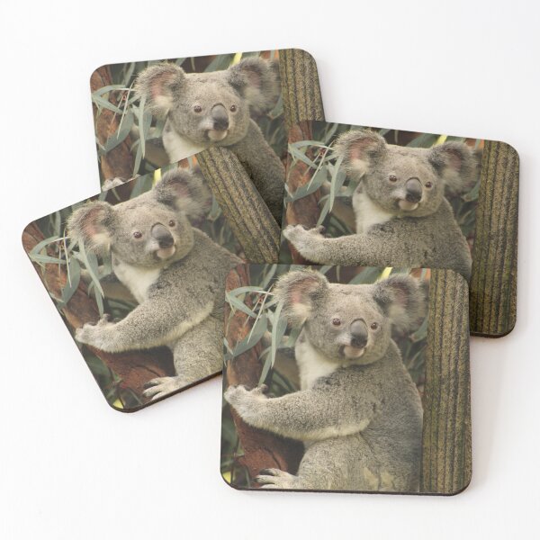 Item preview, Koala RP designed and sold by RREID84.