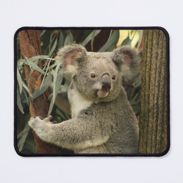 Item preview, Koala RP designed and sold by RREID84.
