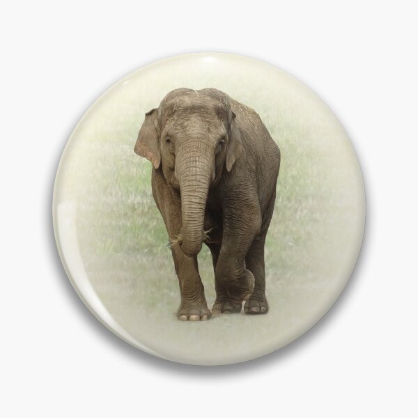 Item preview, Indian Elephant designed and sold by Guardi71.