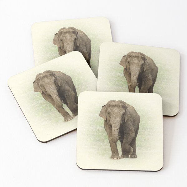 Item preview, Indian Elephant designed and sold by Guardi71.
