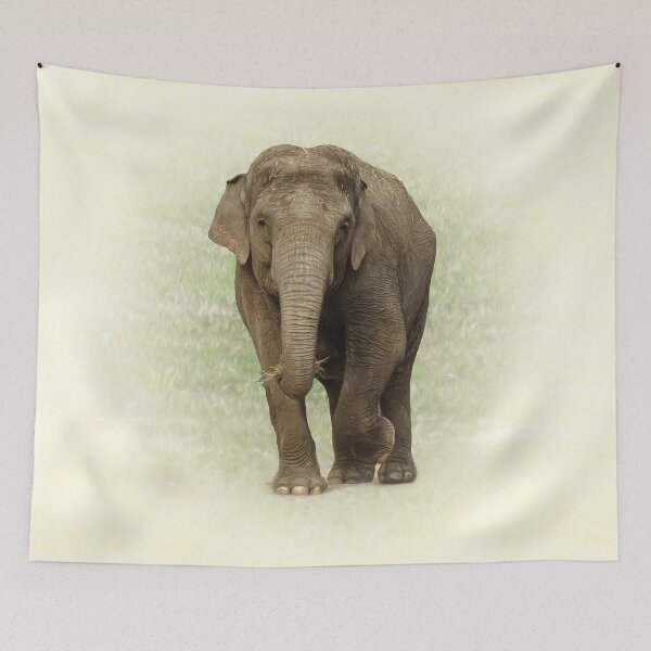 Item preview, Indian Elephant designed and sold by Guardi71.