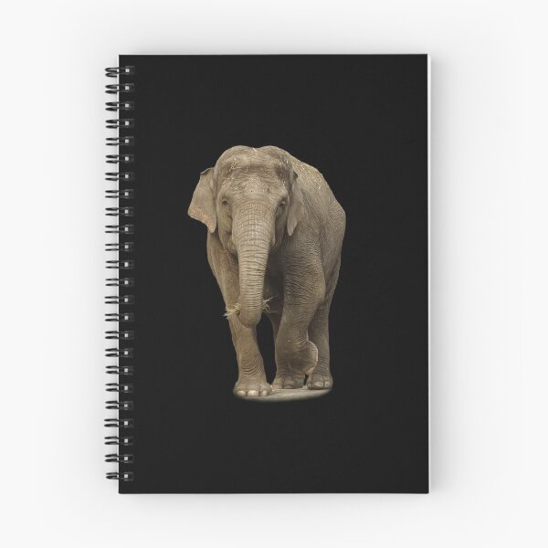 Item preview, Indian Elephant designed and sold by Guardi71.