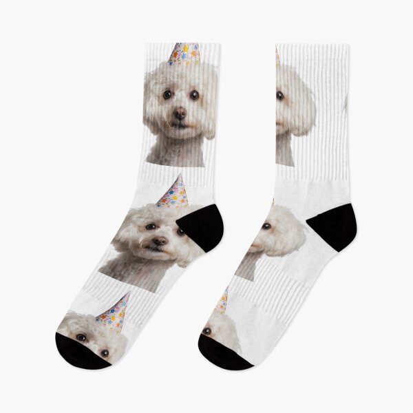 Item preview, Cute Bichon Frise dog with Party Hat Birthday Celebration designed and sold by LazyOwlStore.