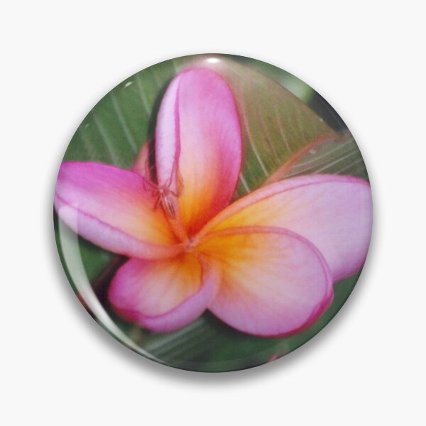 Item preview, pink frangipani designed and sold by STHogan.