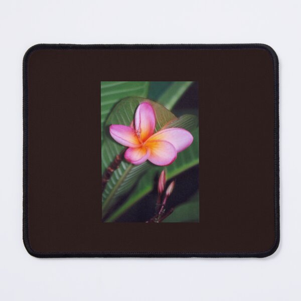 Item preview, pink frangipani designed and sold by STHogan.