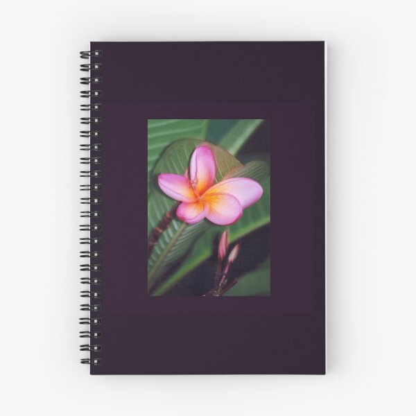 Item preview, pink frangipani designed and sold by STHogan.