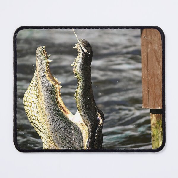 Item preview, My Chicken Filet designed and sold by MercerImages.