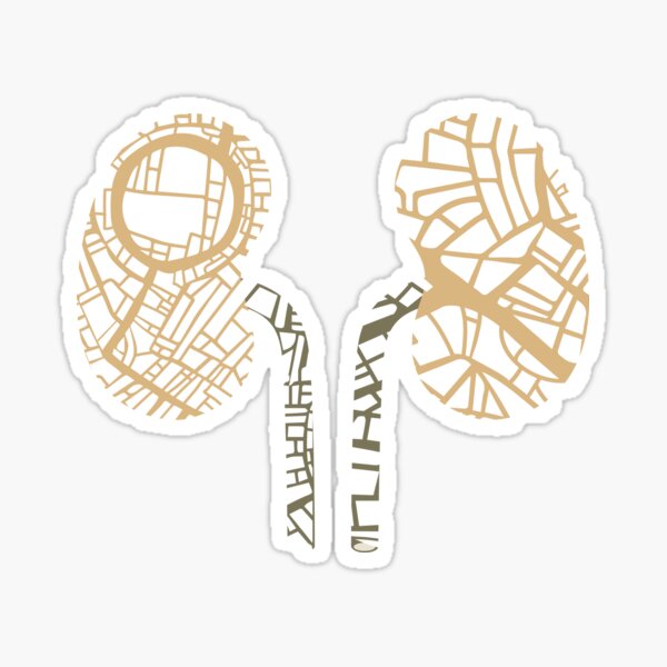 Item preview, Kidney Map Anatomy | Urban Organ Abstract Art designed and sold by soberano.