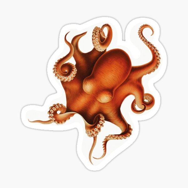 Print of small red octopuses Sticker