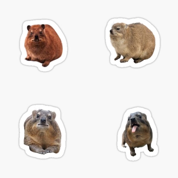 Hyrax Pack Sticker