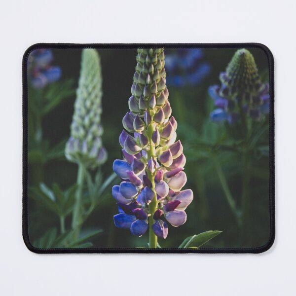 Item preview, Purple Wild Lupin Flowers designed and sold by Imladris01.