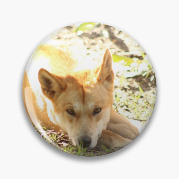Item preview, Dingo designed and sold by RREID84.