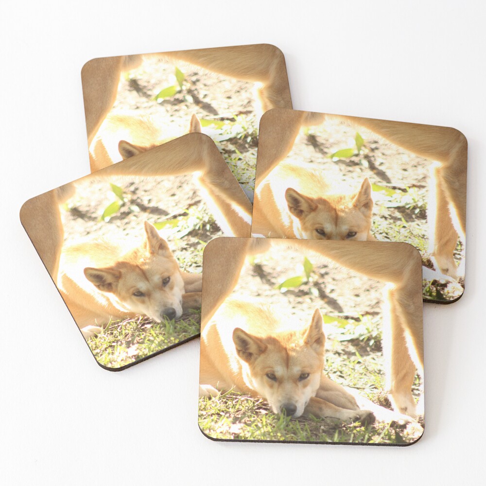 Item preview, Coasters (Set of 4) designed and sold by RREID84.