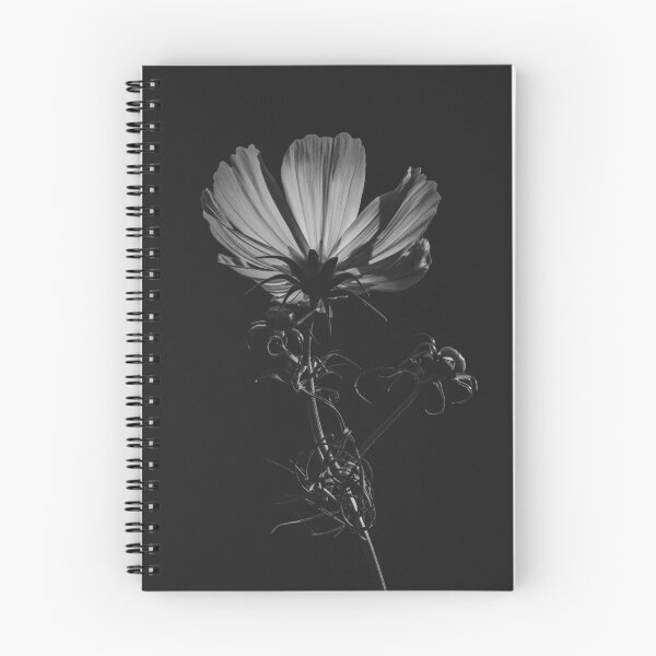 Item preview, Cosmos bipinnatus Monochrome Flora designed and sold by Imladris01.