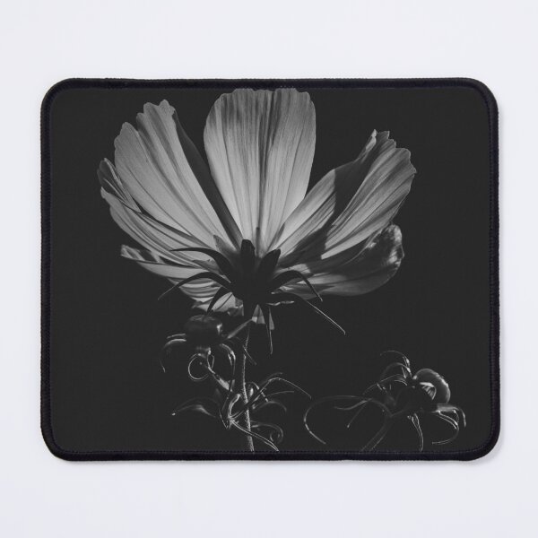 Item preview, Cosmos bipinnatus Monochrome Flora designed and sold by Imladris01.